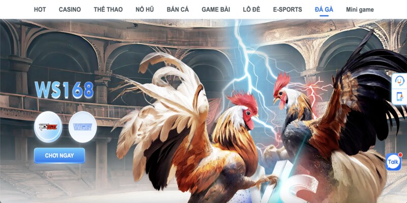 Kinh nghiệm chơi đá gà cựa sắt luôn thắng từ cao thủ 3 Kinh nghiệm chơi đá gà cựa sắt luôn thắng từ cao thủ
