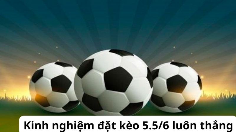Kèo 5.5/6 là gì? Các tips đặt cược kèo 5.5/6 thắng lớn 2 Kèo 5.5/6 là gì? Các tips đặt cược kèo 5.5/6 thắng lớn