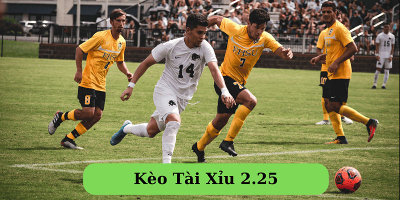 Tài Xỉu 2.25 Là Gì? 3 Kinh Nghiệm Đặt Kèo Từ Lão Làng FB68 2 Tài Xỉu 2.25 Là Gì? 3 Kinh Nghiệm Đặt Kèo Từ Lão Làng FB68