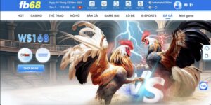 Trực tiếp đá gà casino FB68 - Cá cược thả ga ôm tiền cực đã