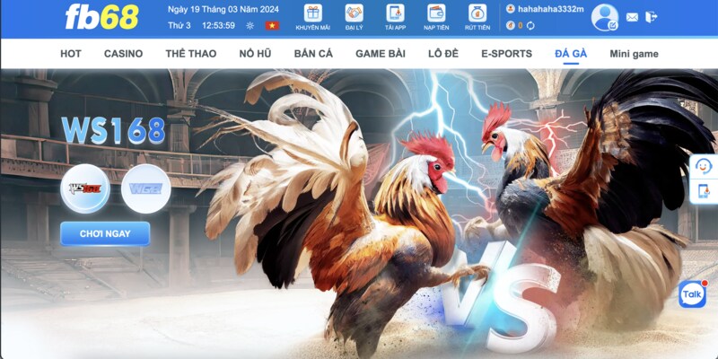 Trực tiếp đá gà casino FB68 - Cá cược thả ga ôm tiền cực đã 2 Trực tiếp đá gà casino FB68 - Cá cược thả ga ôm tiền cực đã