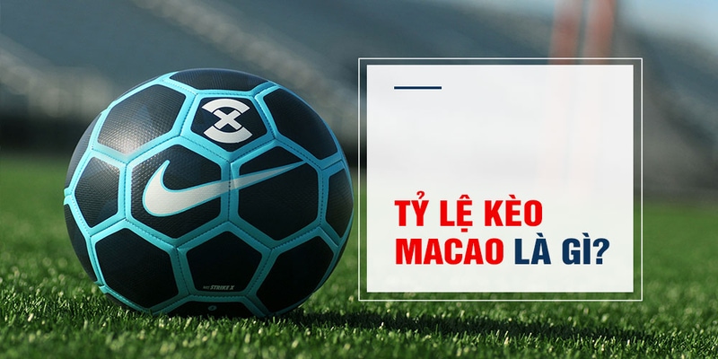 Tỷ lệ kèo 2 in 1 - Cách đặt cược kèo Macao hiệu quả 99% 1 Tỷ lệ kèo 2 in 1 - Cách đặt cược kèo Macao hiệu quả 99%