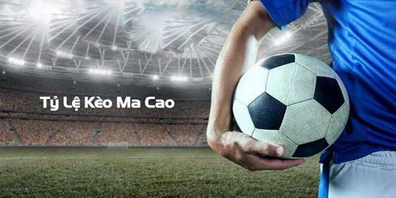 Tỷ lệ kèo 2 in 1 - Cách đặt cược kèo Macao hiệu quả 99% 3 Tỷ lệ kèo 2 in 1 - Cách đặt cược kèo Macao hiệu quả 99%