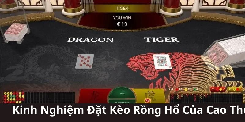 Kinh Nghiệm Đặt Kèo Rồng Hổ Của Cao Thủ Dành Cho Tân Thủ 3 Kinh Nghiệm Đặt Kèo Rồng Hổ Của Cao Thủ Dành Cho Tân Thủ
