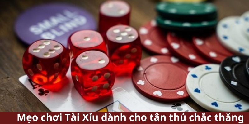 Mẹo Chơi Tài Xỉu Luôn Thắng Từ Các Cao Thủ 3 Mẹo Chơi Tài Xỉu Luôn Thắng Từ Các Cao Thủ