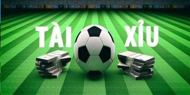 Kèo Tài Xỉu Và Tỷ Lệ Cá Cược Phổ Biến Nhất Hiện Nay 1 Kèo Tài Xỉu Và Tỷ Lệ Cá Cược Phổ Biến Nhất Hiện Nay